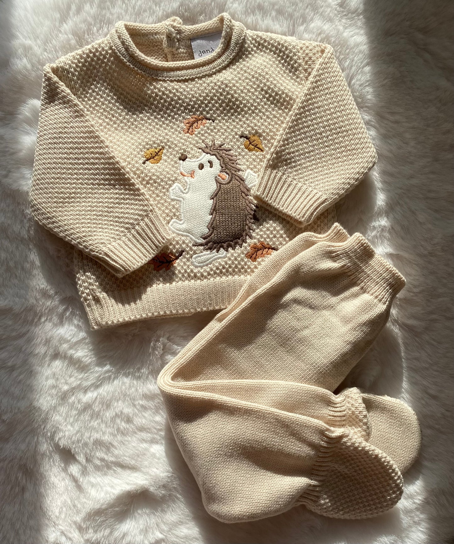 Hedgehog jumper and leggings 2 piece