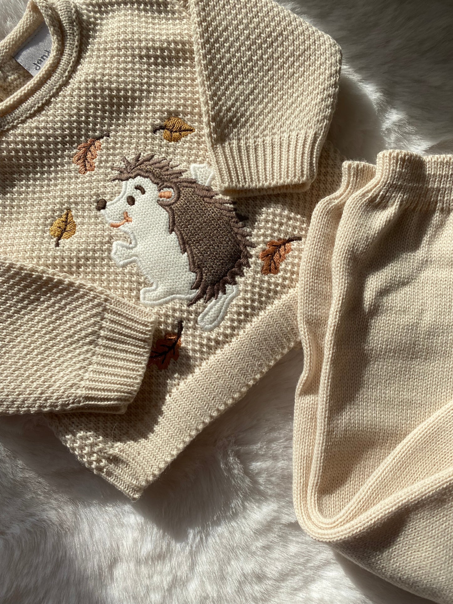 Hedgehog jumper and leggings 2 piece