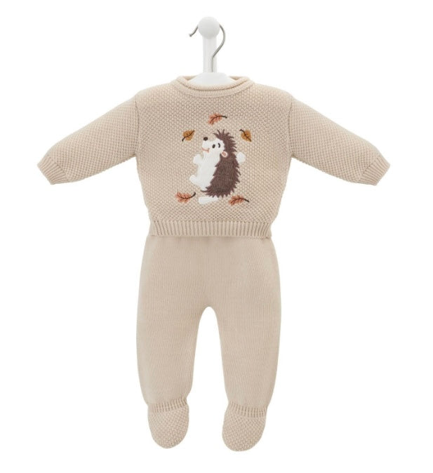 Hedgehog jumper and leggings 2 piece