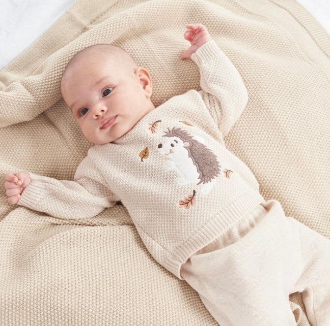 Hedgehog jumper and leggings 2 piece