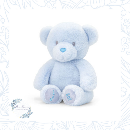 Baby Boy Blue Teddy Bear