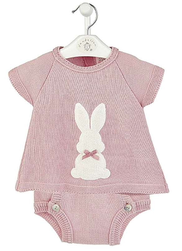 Baby Bunny Top & Pants